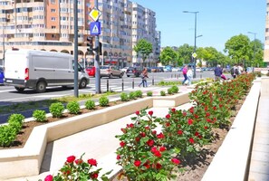 Property grounds - Victory Sea House affordable accommodation in Constanta City Center (Constanța)