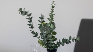 Ein Esstisch, gedeckt mit weißen Tellern, Besteck und einer blauen Vase mit Grünpflanzen.