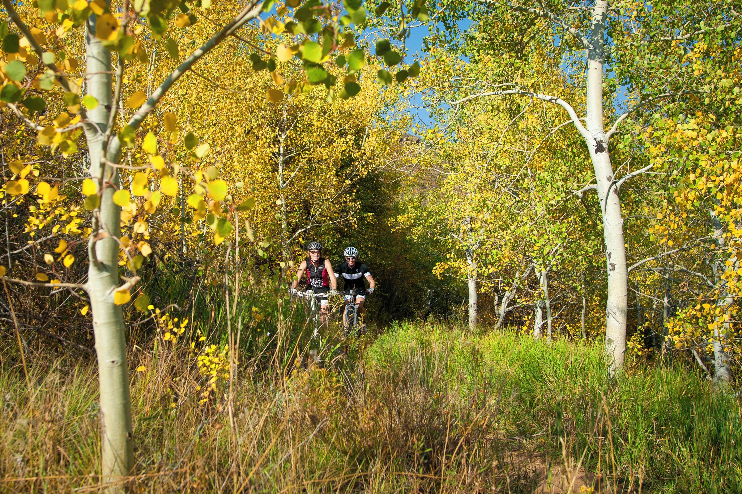 Two cyclists on a trail surrounded by trees with yellow leaves.