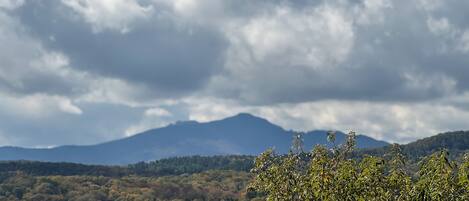 A mountainous landscape with dense forest and a cloudy sky.