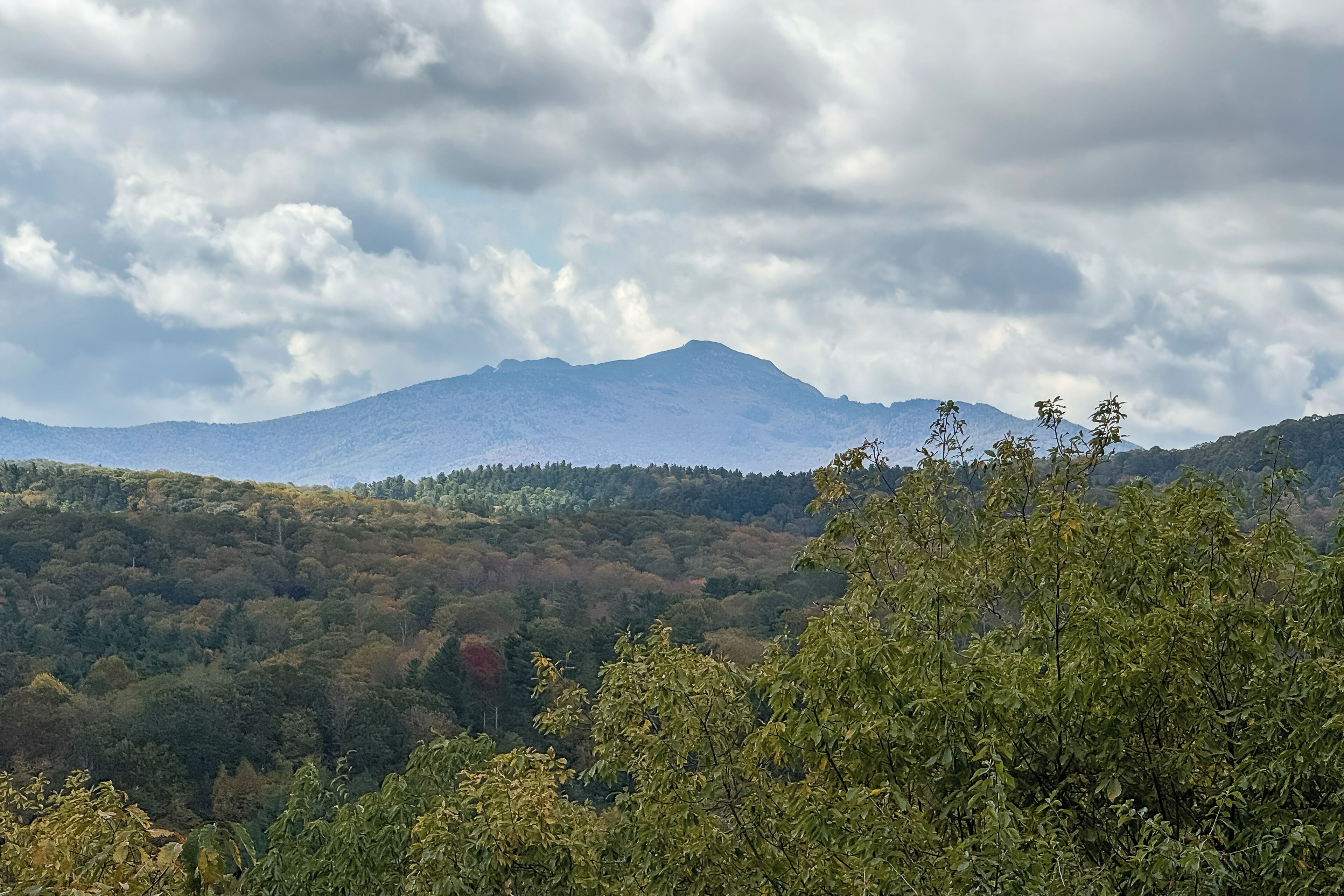 A mountainous landscape with a snow-capped peak and dense forested hills.