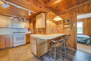 House (3 Bedrooms) | Interior - Fish & Boat on Mullett Lake! Family Cabin w/ Dock (Indian River)