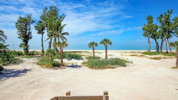 Una playa arenosa con palmeras y una valla de madera.