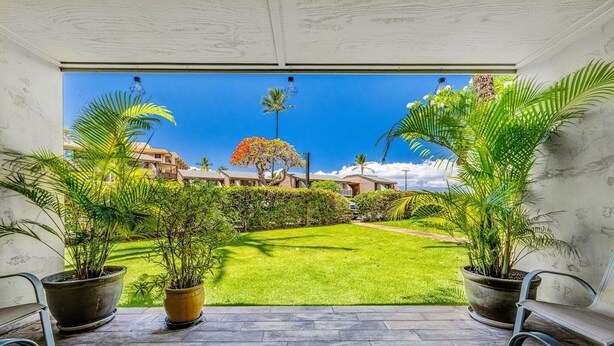 Un patio con dos plantas en macetas, vista de un césped cuidado y un edificio al fondo.