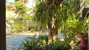 A stone-paved courtyard with a tree, potted plants, and a rustic fence. - Go Hotelaria (Búzios)