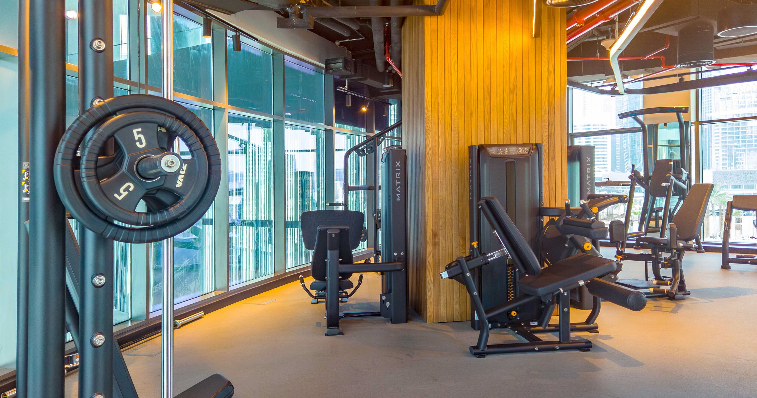 A gym with weightlifting equipment, large windows, and a wooden accent wall.
