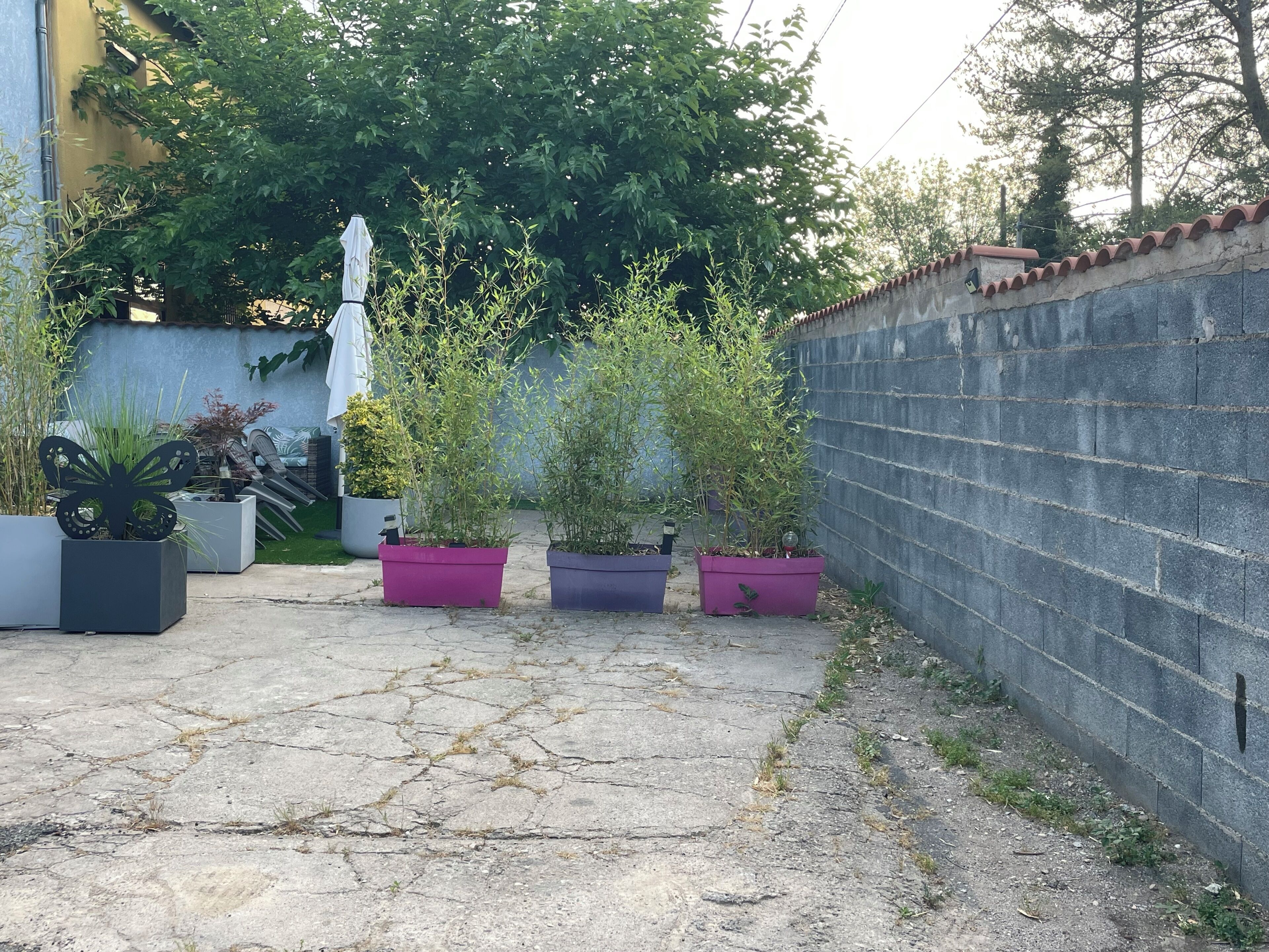 Une cour intérieure agrémentée de plantes en pot, dotée d’un sol en béton et d’un mur en briques.
