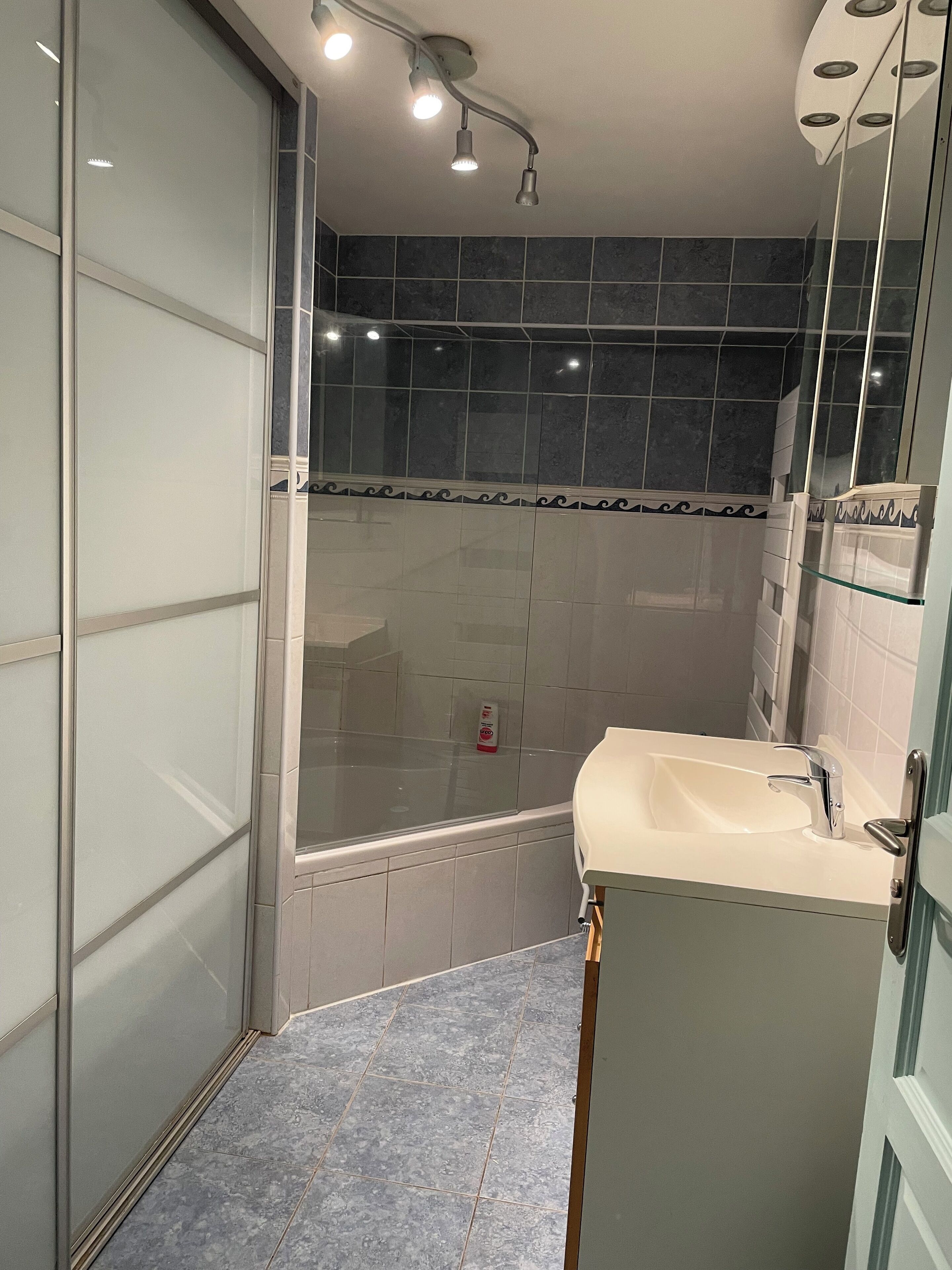 Hair dryer, towels, soap, shampoo