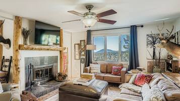 TV, fireplace, offices