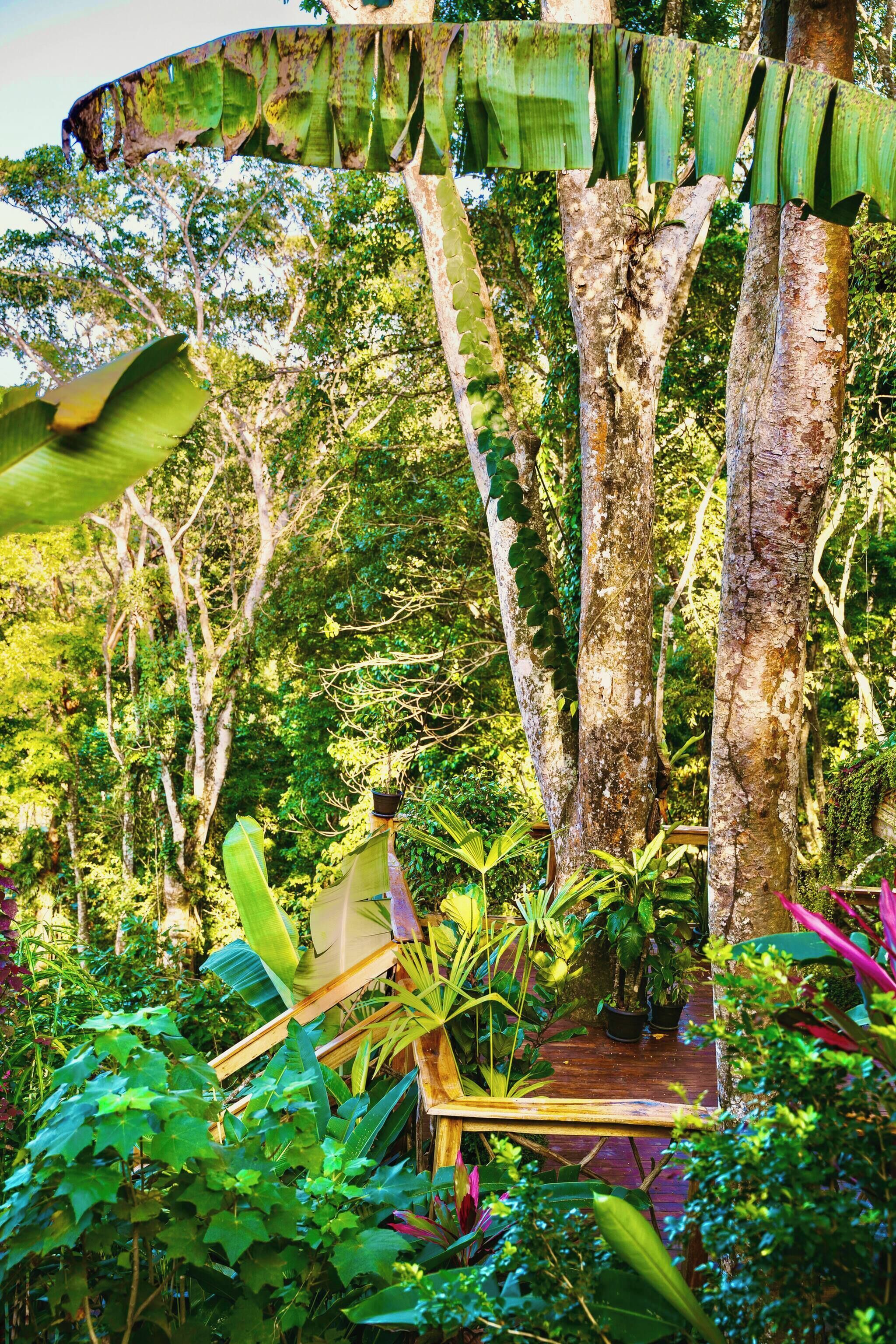 小屋, 1 间卧室, 阳台, 花园景观 | 花园