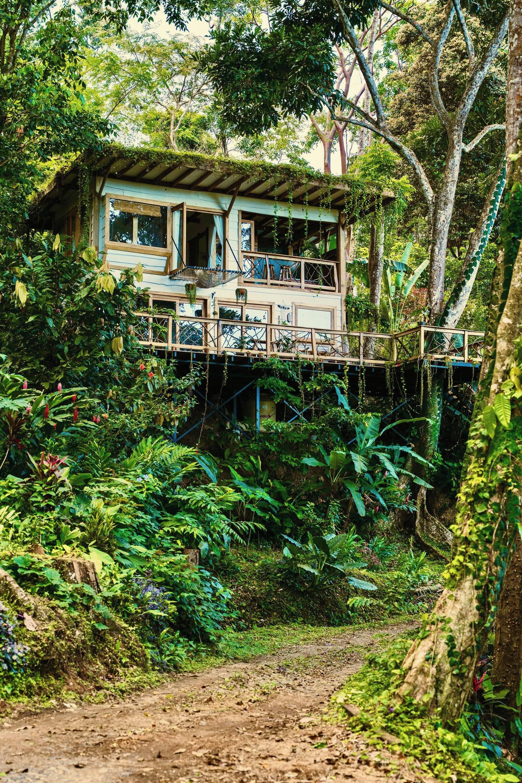 Cabin, 1 phòng ngủ, ban công, quang cảnh vườn | Ngoại thất