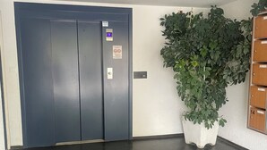 En gang med mørkt flisegulv, en blå elevator og en potteplante.