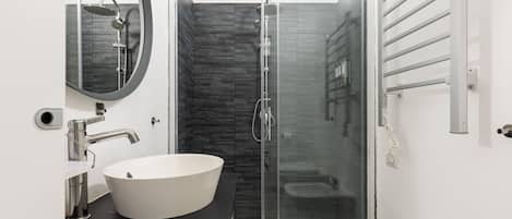 Shower, hair dryer, bidet, towels