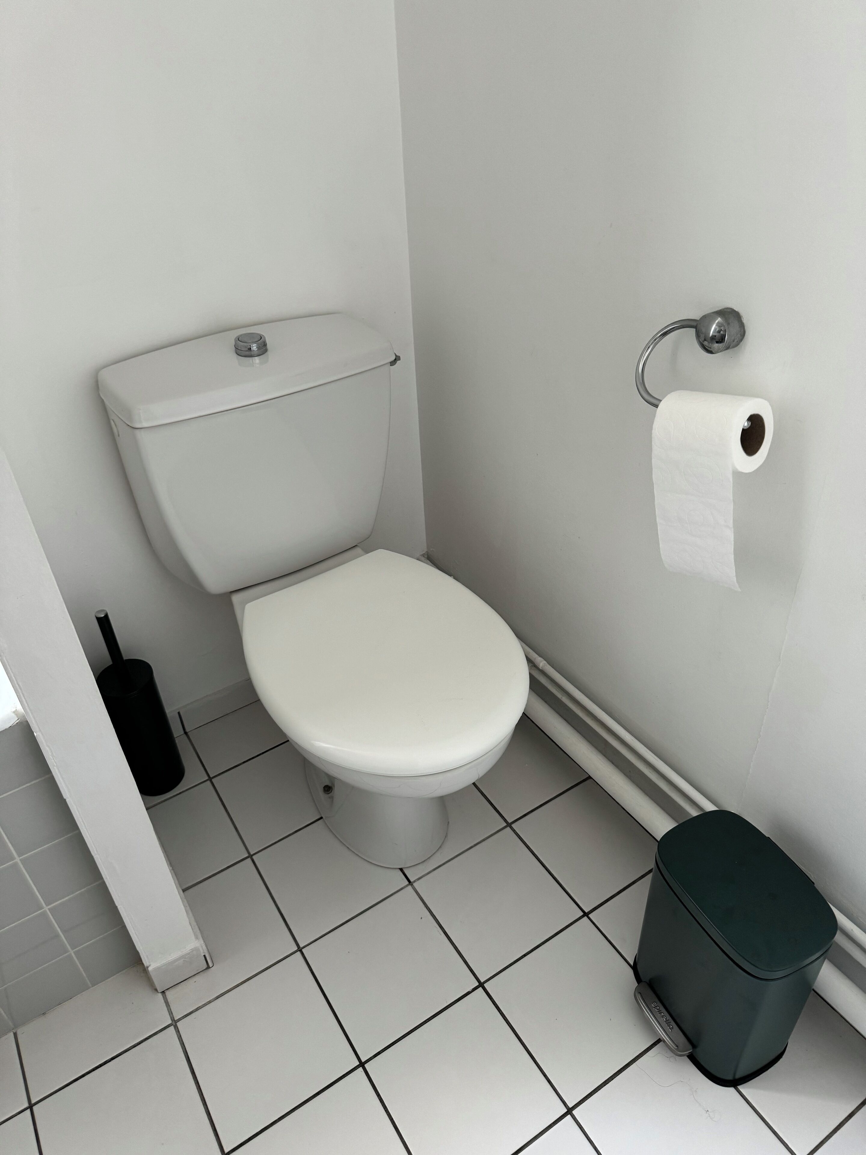A white toilet with a flush handle, a toilet paper holder on the wall, a black toilet brush, and a trash bin.