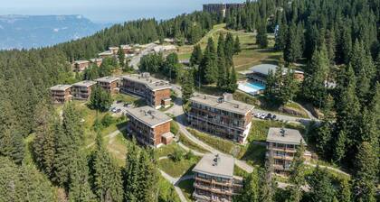 V du Bachat Arolles B Ndeg23 - ST5