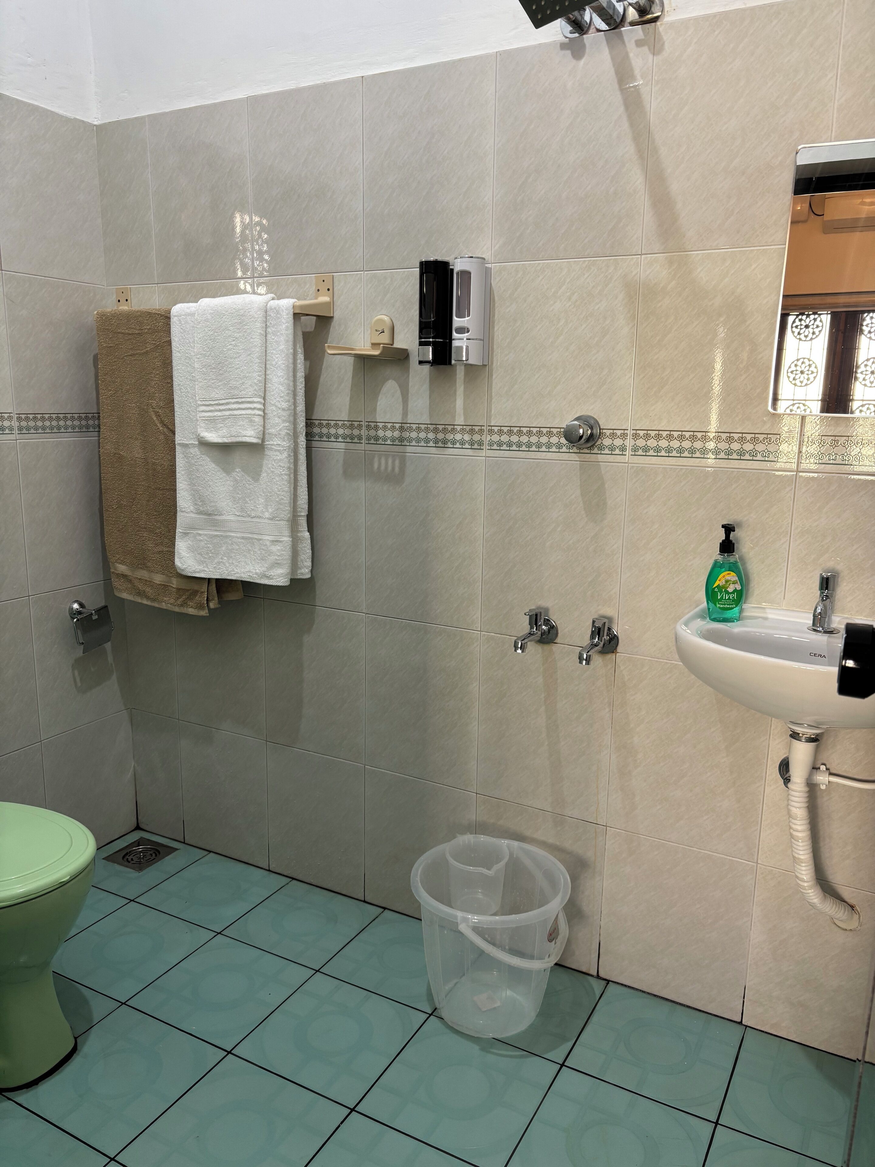 Shower, bidet, towels, soap