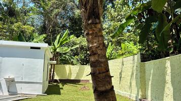 A garden with a palm tree, a white building, and a green lawn.