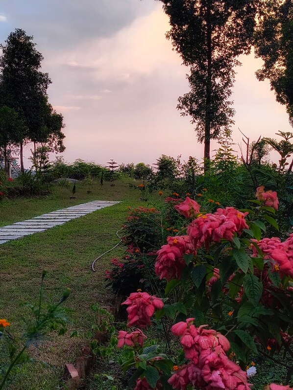 Un sentier de jardin bordé d’une végétation luxuriante et de fleurs roses.