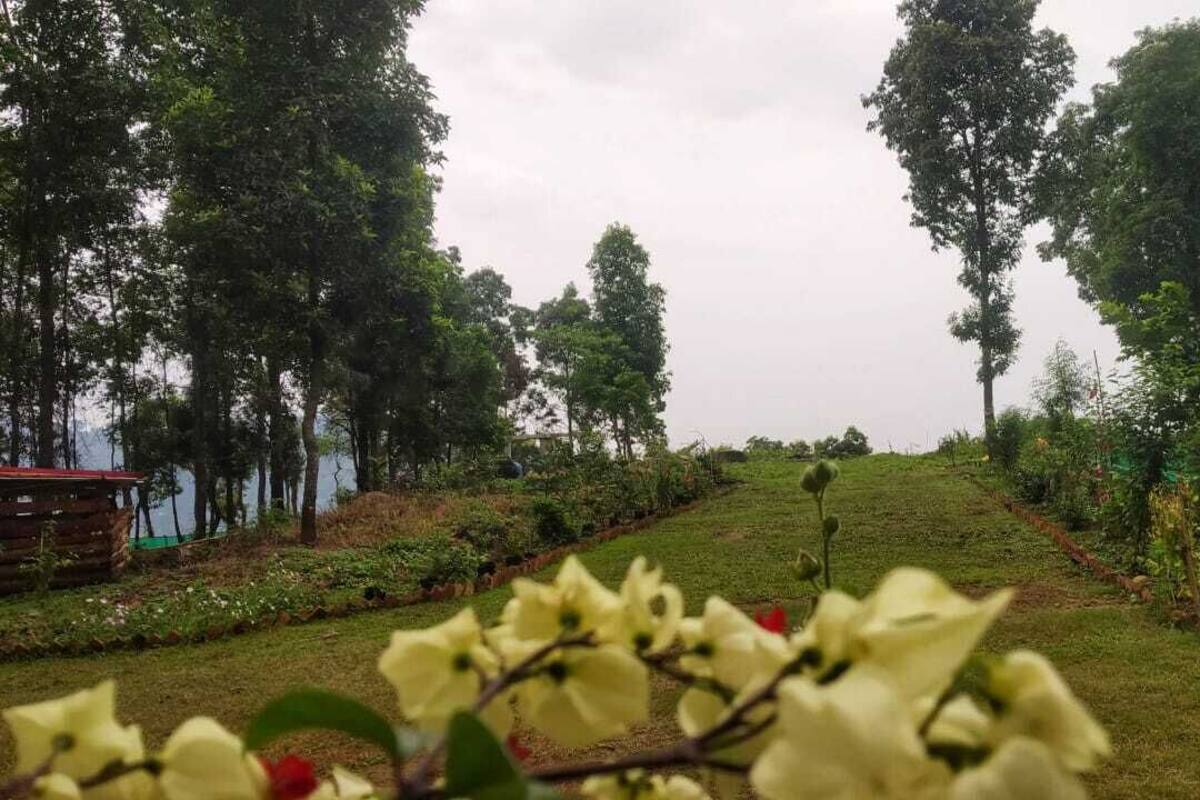 花園景