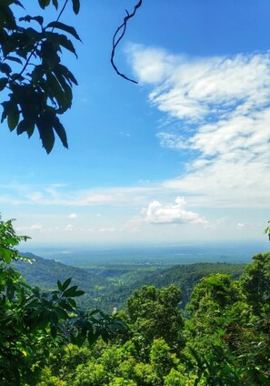 Exterior - Infinity Viewpoint Homestay (Kalimpong)