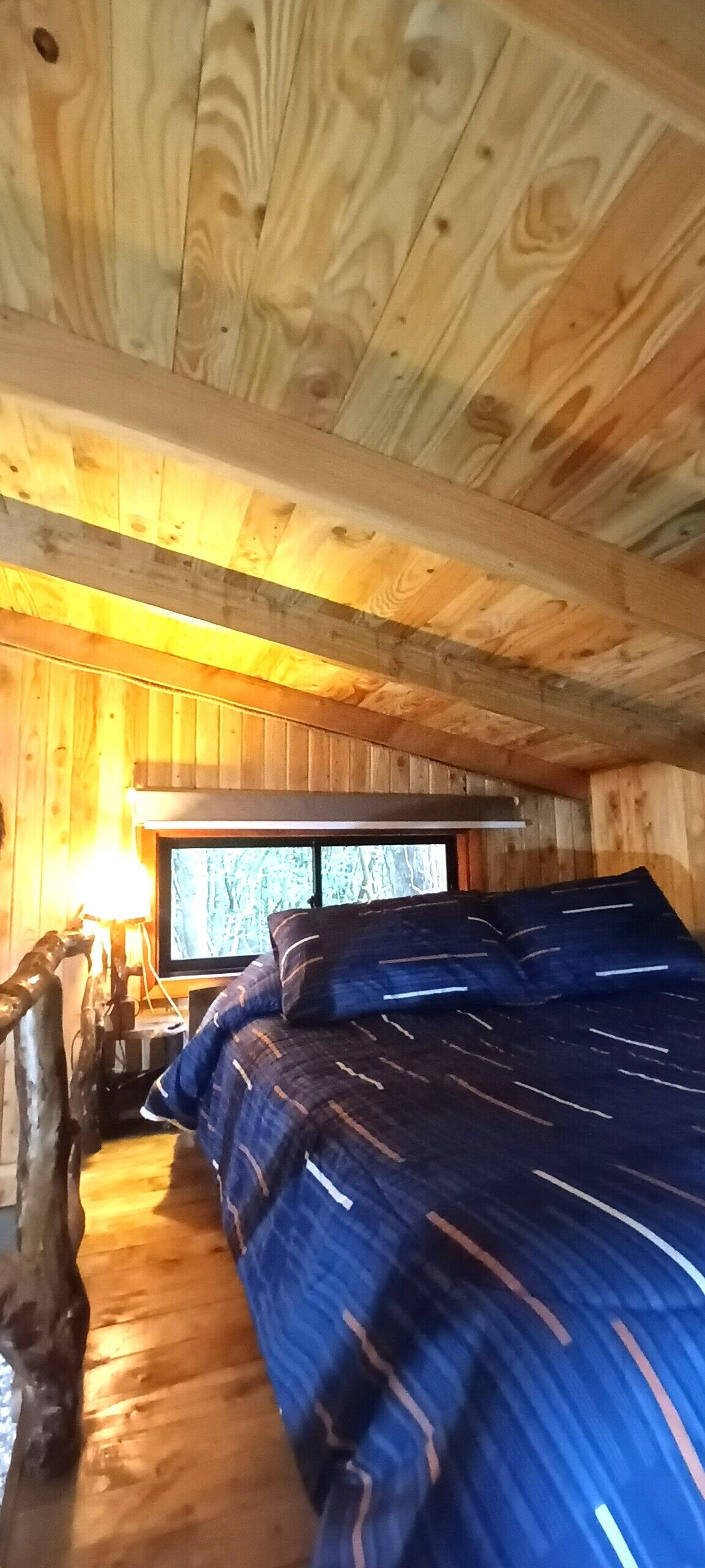 واي فاي مجانًا