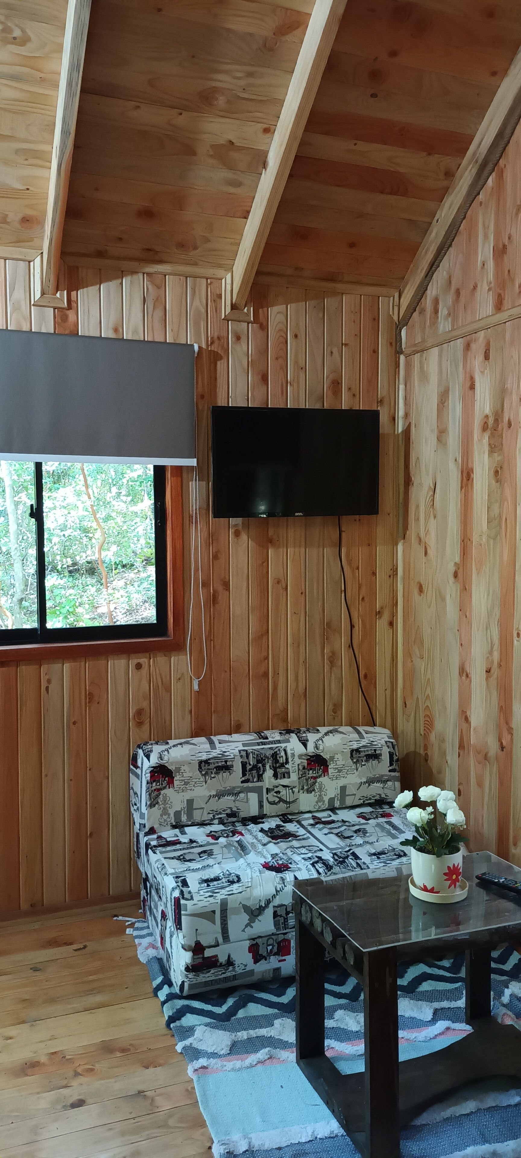 Panoramic Cabin, Patio, Garden View | Living area | Flat-screen TV