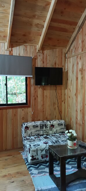 Panorama huisje, terras, uitzicht op tuin | Woonruimte | Flatscreentelevisie