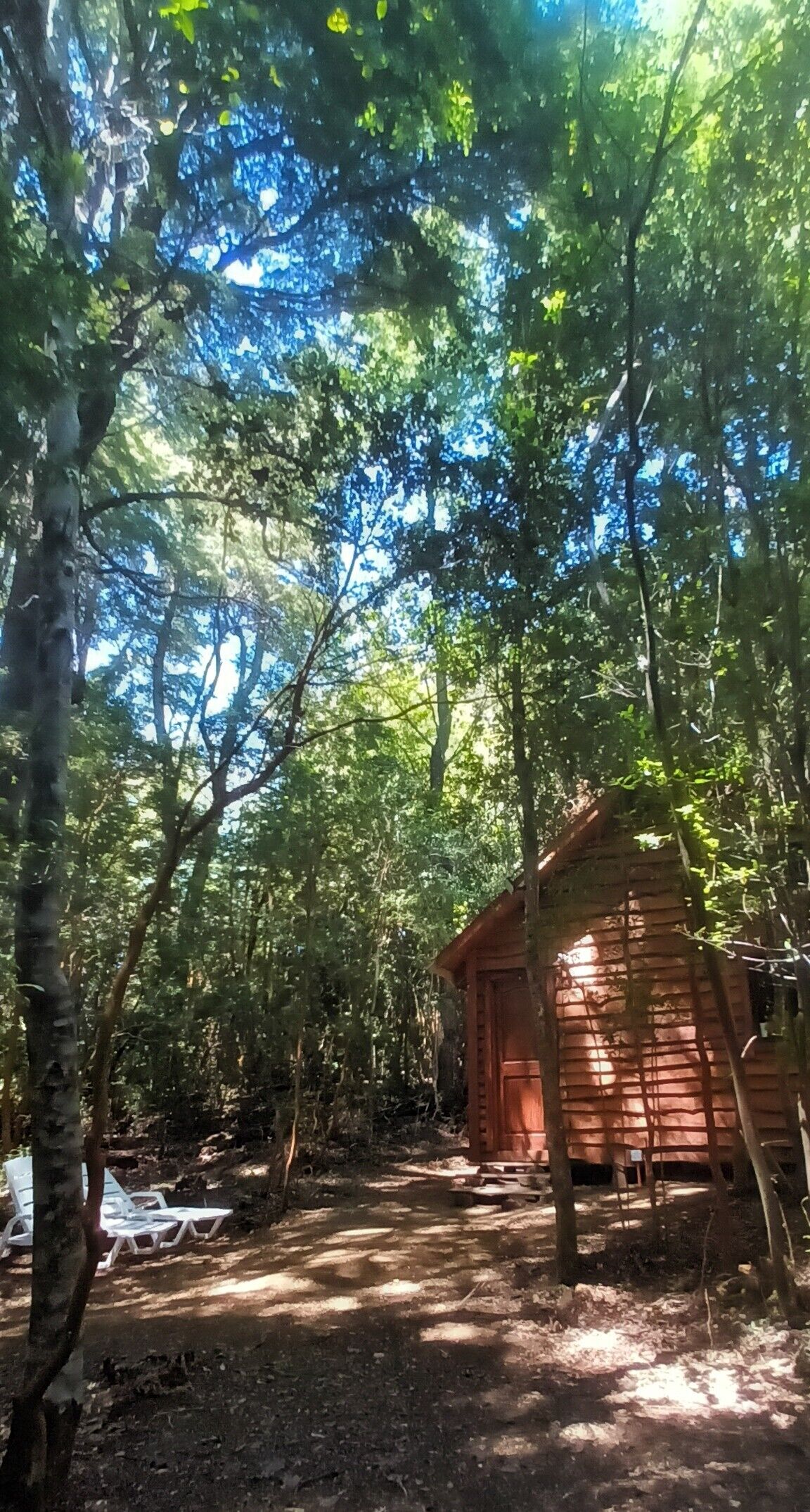 Panoramic-Ferienhütte, Terrasse, Gartenblick | Terrasse/Patio
