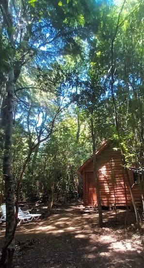 Panoramic Cabin, Patio, Garden View | Terrace/patio - Cabaña Arrayán (Pucón)