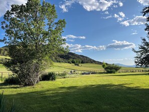 Miscellaneous - Salt Creek Ranch Cabin- Mountain Views & Creekside Paradise (Collbran)