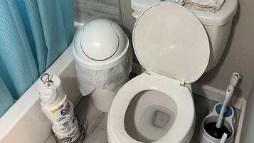 Ducha, secador de pelo, toallas, jabón