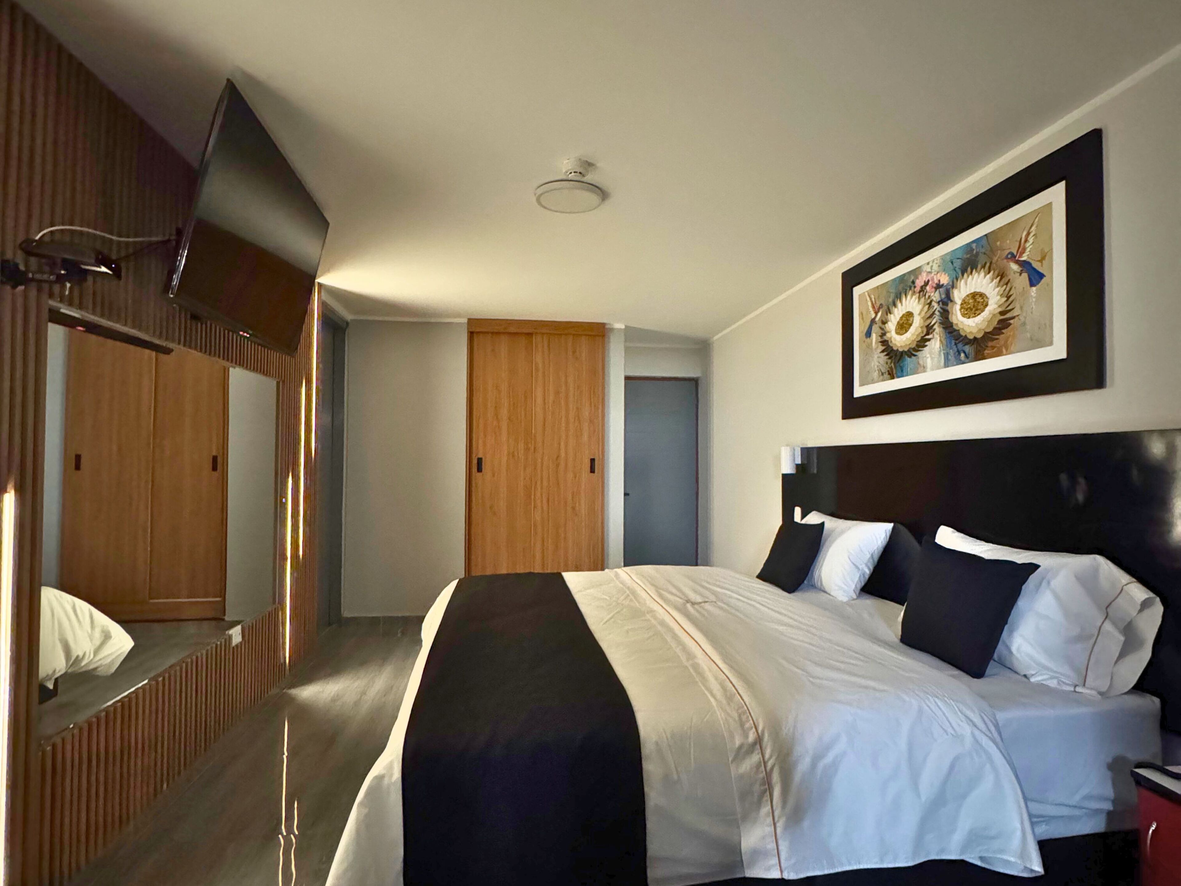 Deluxe Suite, 1 King Bed, Private Bathroom, City View | Laptop workspace, free WiFi