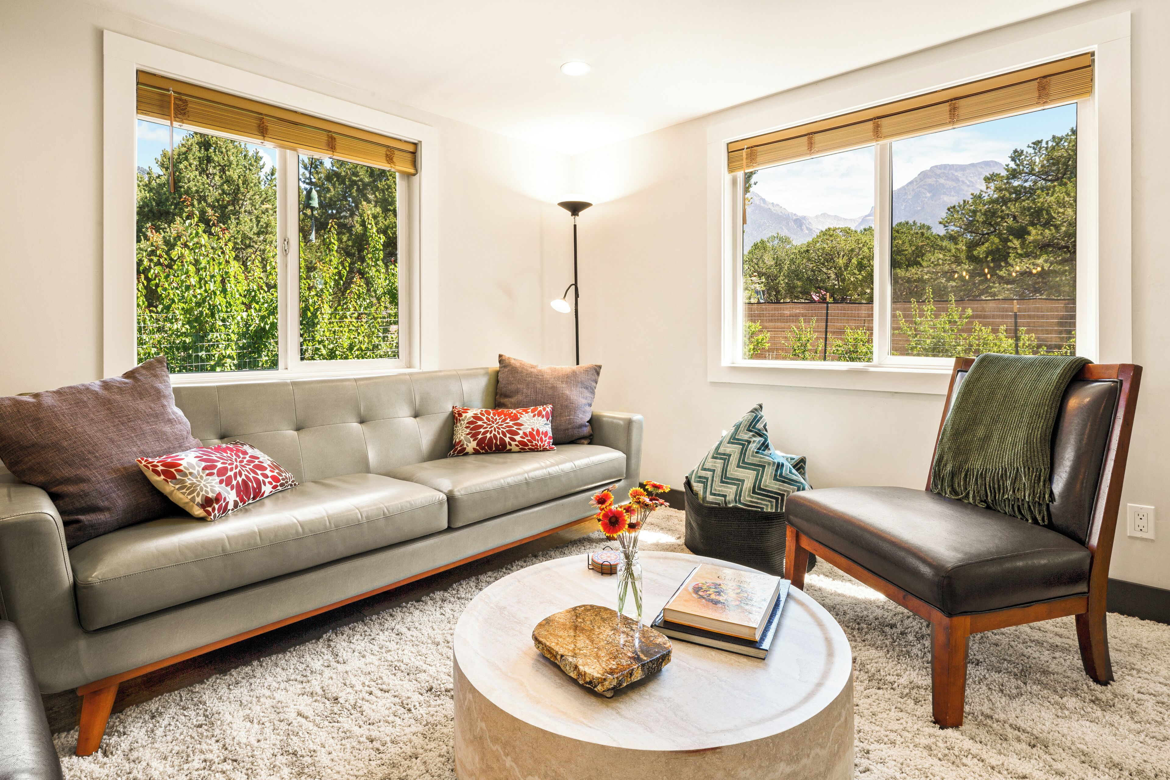 TV connectée, cheminée, livres