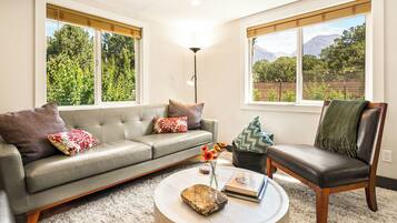 TV connectée, cheminée, livres