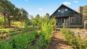 A house with a green exterior, surrounded by a garden with various plants and flowers. - The Green Gem (Crestone)