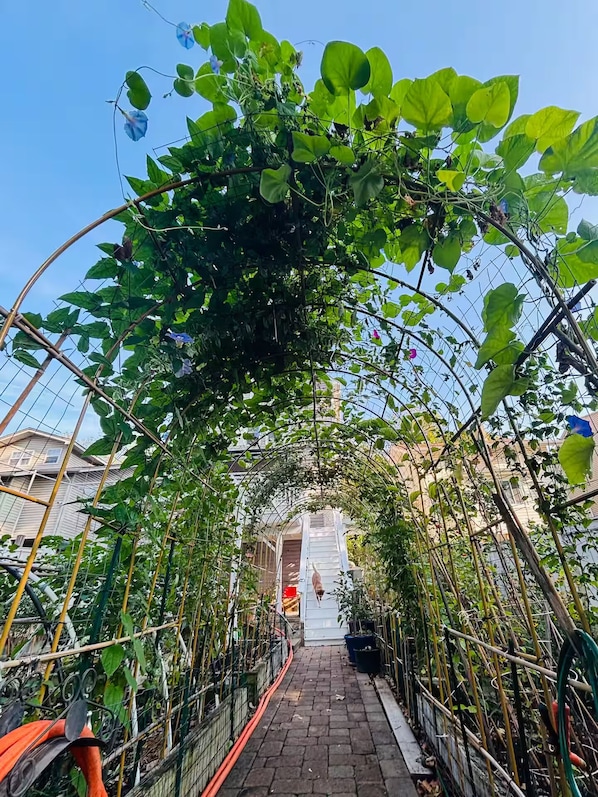 Área da propriedade