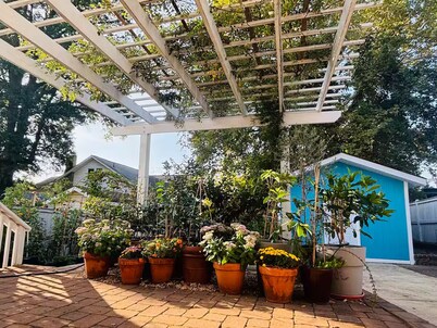 DC Garden Stay: Apartment + ArtStudio + Parking