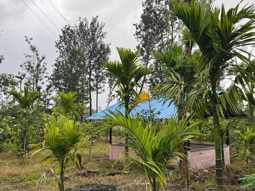 S R Retreat – Workation & Nature Escape in Malanad