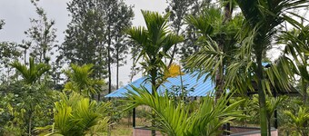 S R Retreat – Workation & Nature Escape in Malanad