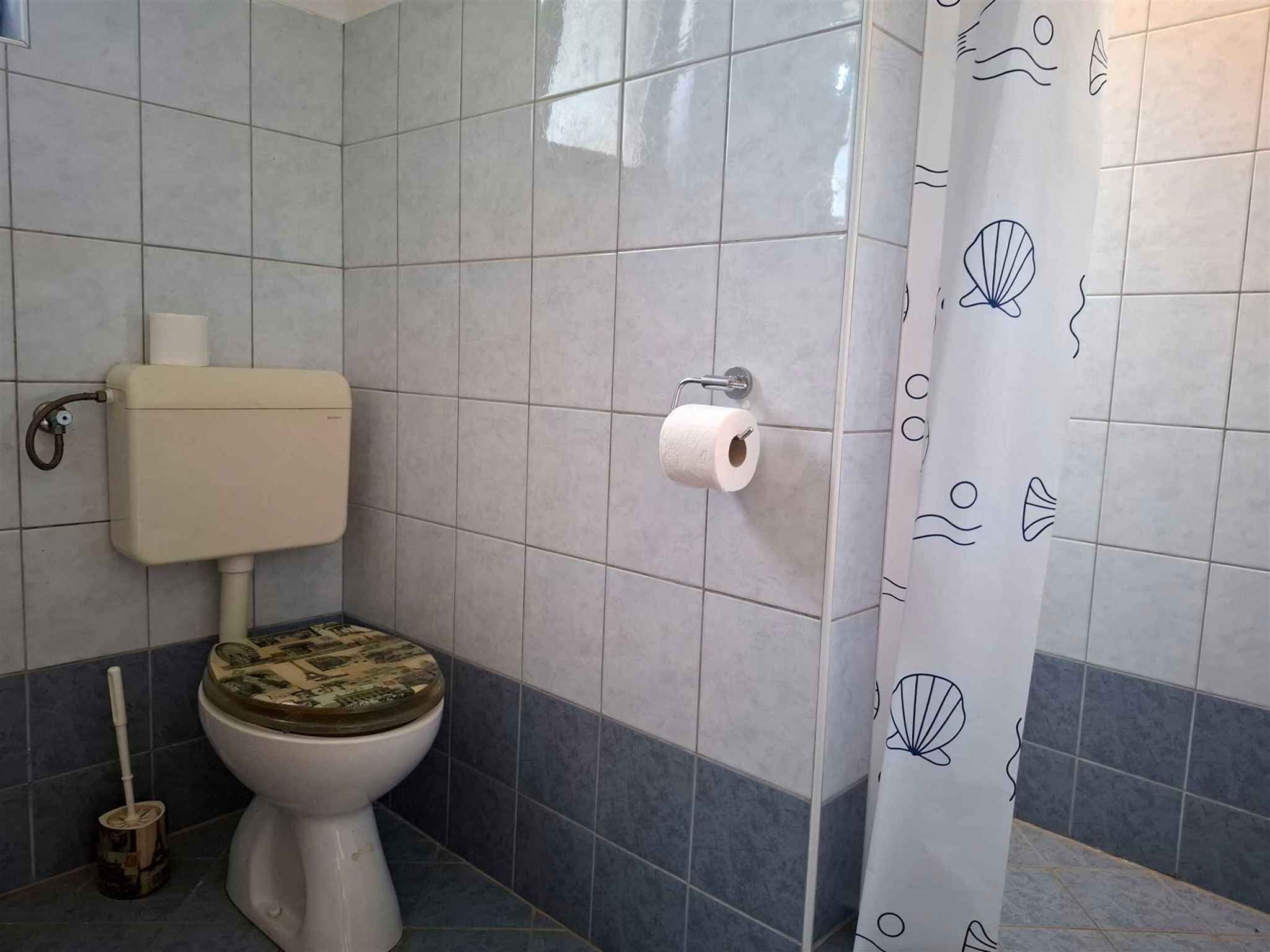 A bathroom with a toilet, a toilet paper holder, and a shower curtain with a sea shell pattern.