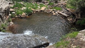 Un arroyo natural con rocas y vegetación.