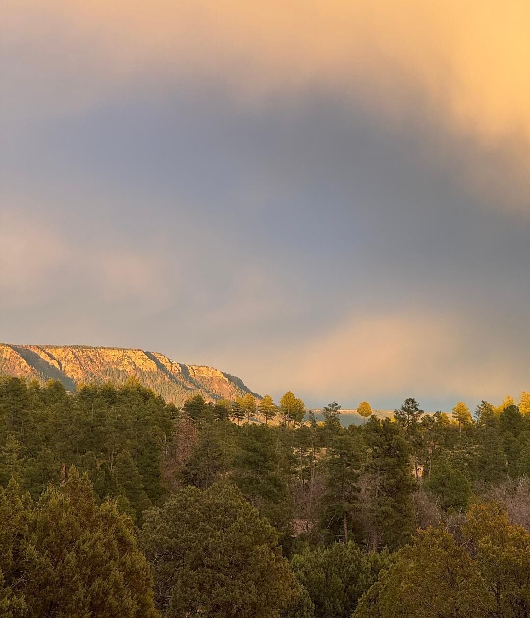Un paysage montagneux, avec une forêt dense à ses pieds.