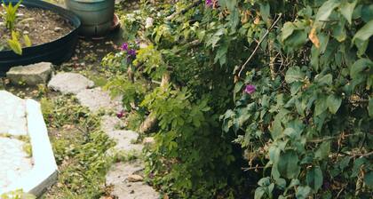 Charming 2-bedroom Tropical Cottage with Sunset Views and AC