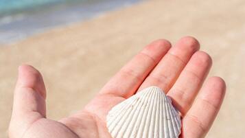 Eine Hand, die eine Muschel vor einer Strandkulisse hält.