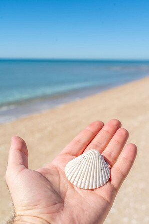 Una mano sosteniendo una concha marina con el mar y la playa al fondo.