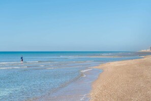 Playa en los alrededores 