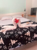 Double Room | Free WiFi