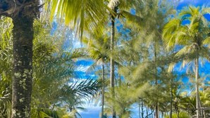 Unclassified image, 4 of 50, button - Pousada Oasis Beach Club (Canavieiras)