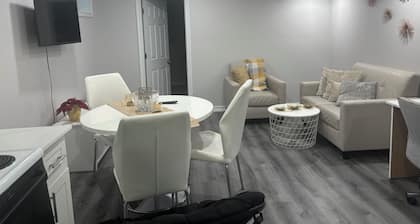 Beautiful, newly renovated, very well maintained and clean studio basement,