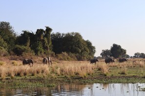 Miscellaneous - Our camp at Mongwe is heaven on earth if you like living with nature. (Mashonaland West Province)
